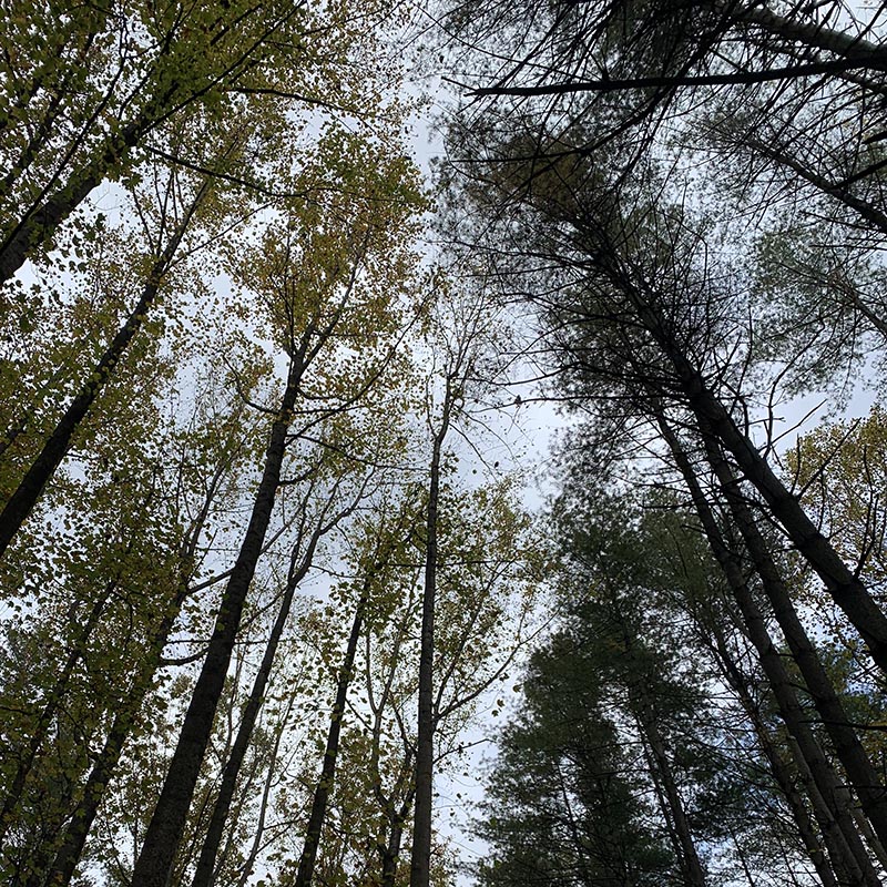 From a minimally-verbal content designer&nbsp;type